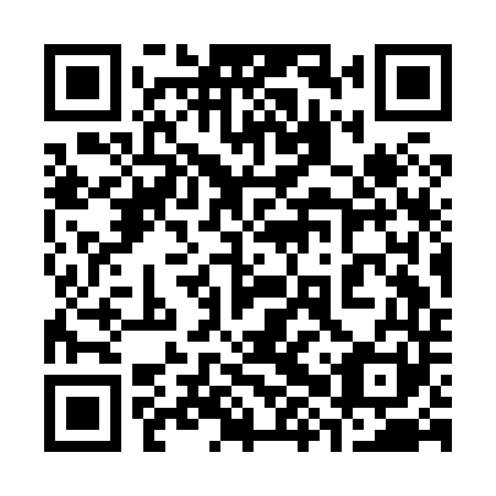 QR code for 38S H41