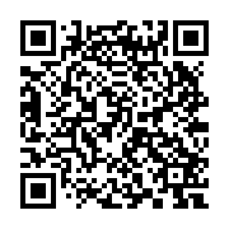 QR code for 38S Z03