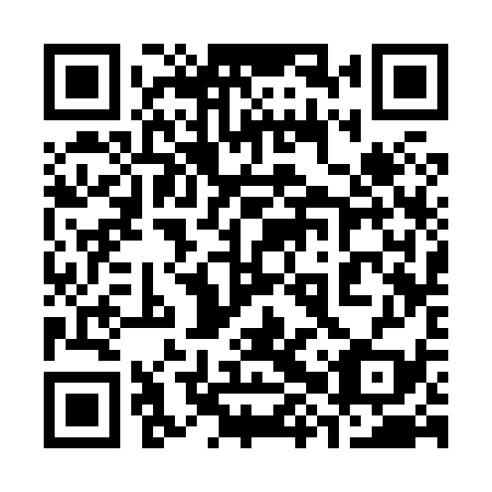 QR code for plate 38S 839