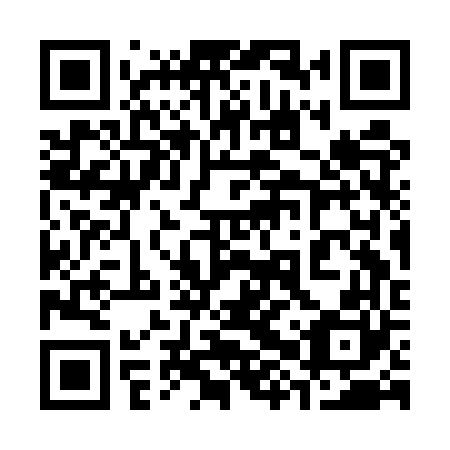 QR code for plate 38S EV0
