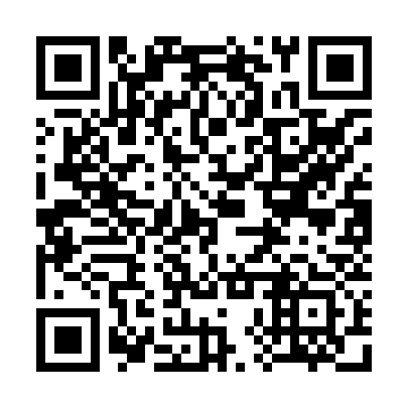 QR code for plate 38S H33