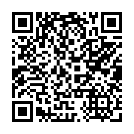 QR code for 38SV86