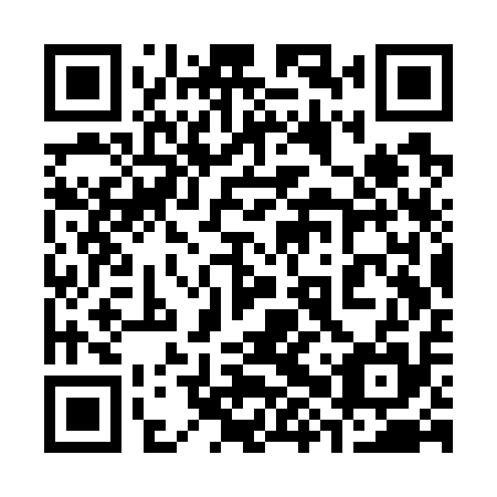 QR code for plate 38S W15