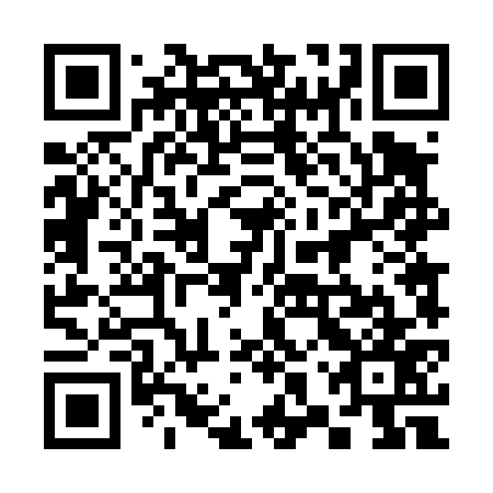 QR code for 38T 477