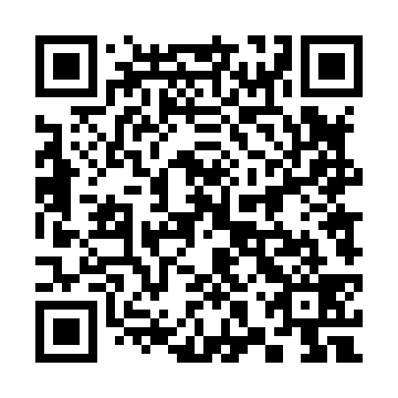 QR code for 38T 839