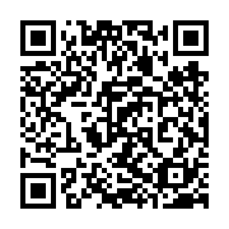 QR code for plate 38T FS0