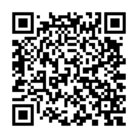 QR code for plate 38T T65