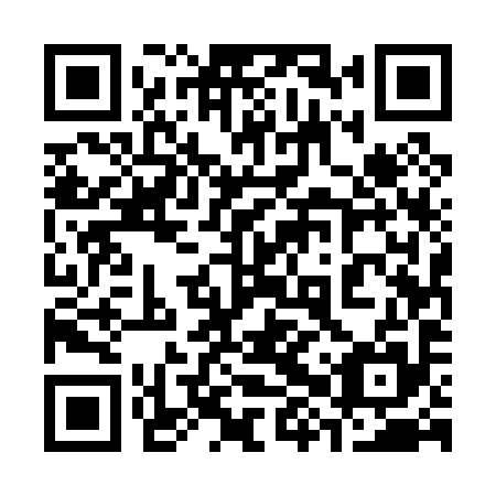QR code for plate 38U 095