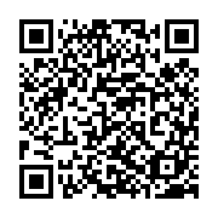 QR code for plate 38U 441