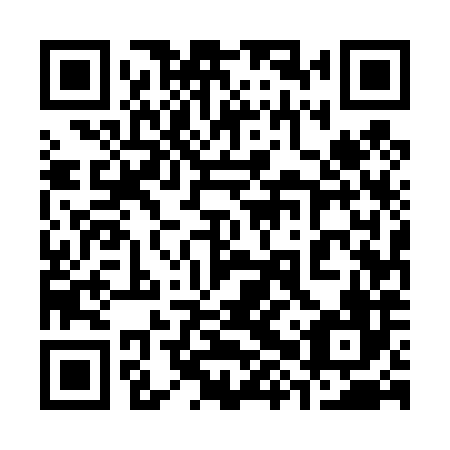 QR code for plate 38U 486