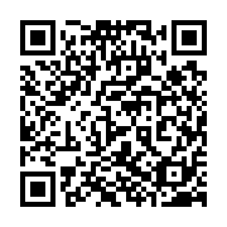 QR code for plate 38U 711