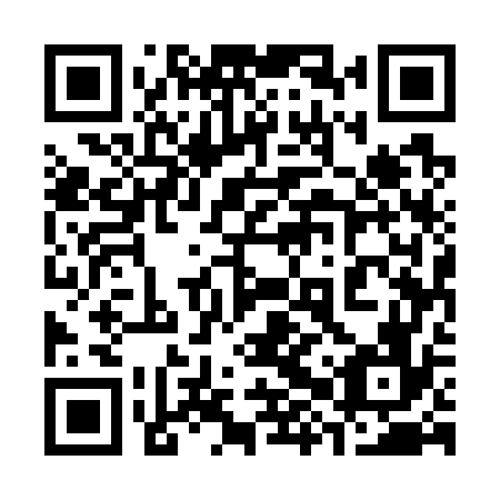 QR code for plate 38U 776
