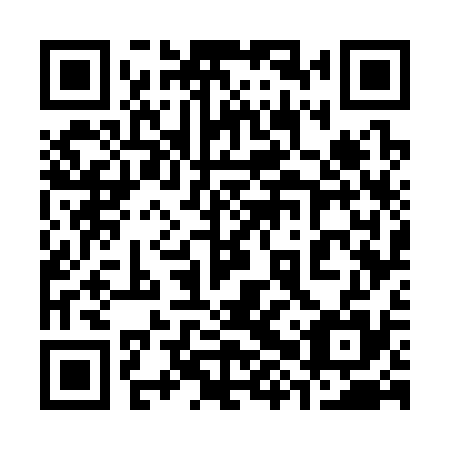 QR code for plate 38W 335