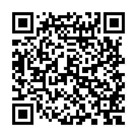 QR code for plate 38W 988