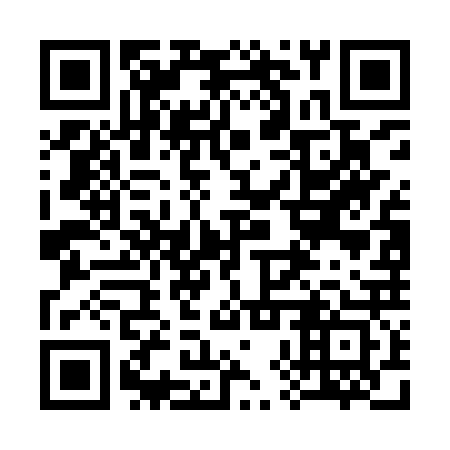 QR code for plate 38W IR3