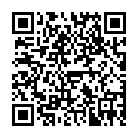 QR code for plate 38W Q55