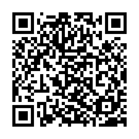 QR code for plate 38W X95
