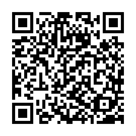 QR code for 38X 249