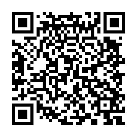 QR code for 38X 442