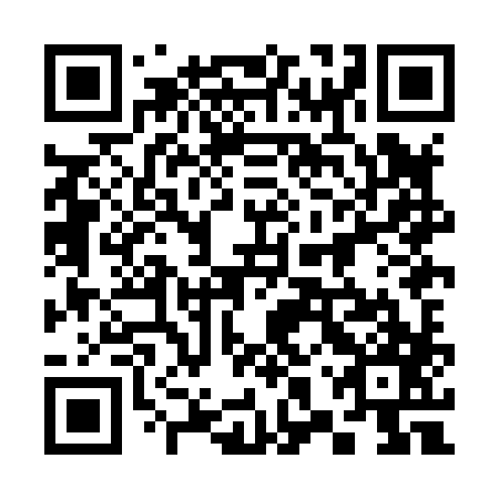 QR code for 38X H87