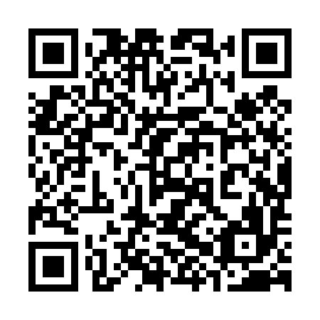 QR code for 38X T96