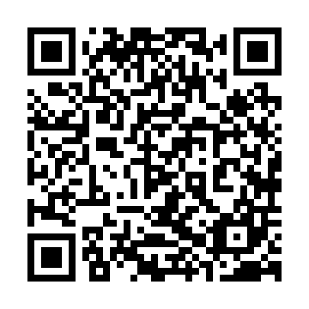 QR code for plate 38X 207
