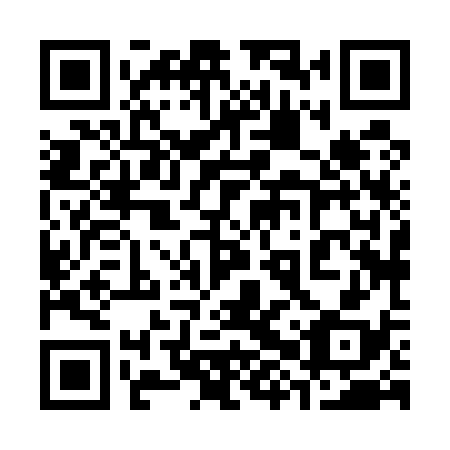 QR code for 38X538