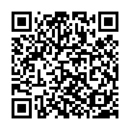 QR code for plate 38X D31