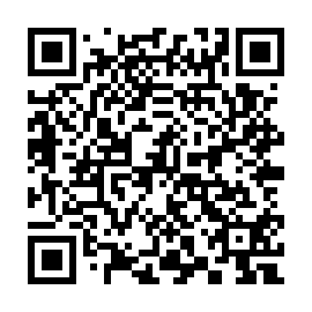 QR code for plate 38X UQ0