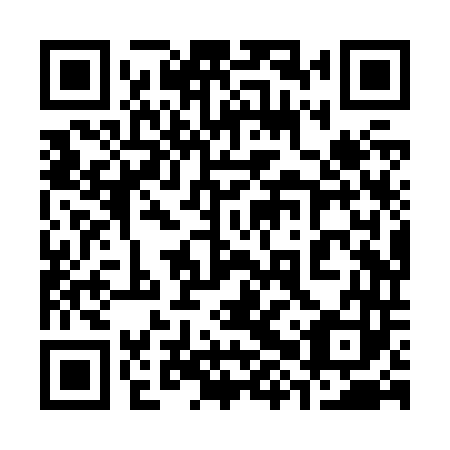 QR code for plate 38X Z43