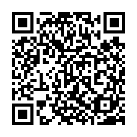 QR code for 38Y661