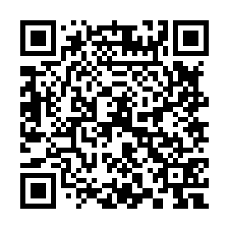 QR code for 38Z 871