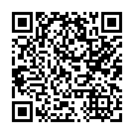 QR code for 38Z 981