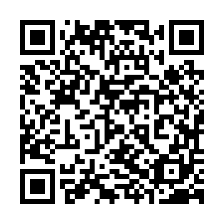 QR code for plate 38Z 250
