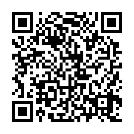QR code for 38Z338