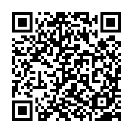 QR code for plate 38Z 585