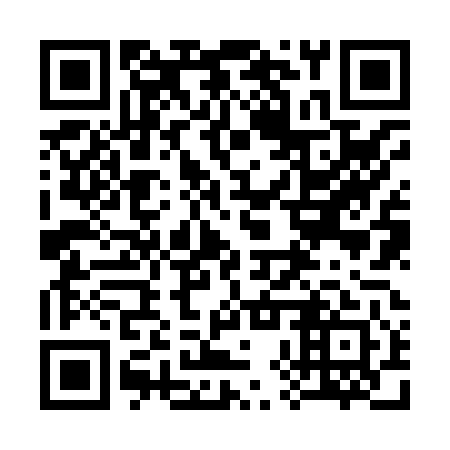 QR code for plate 38Z 841