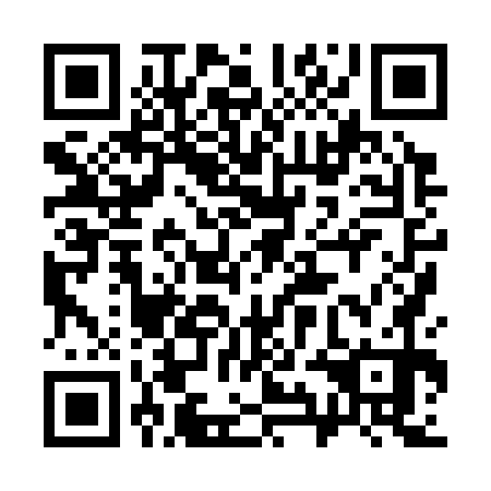 QR code for 39H370