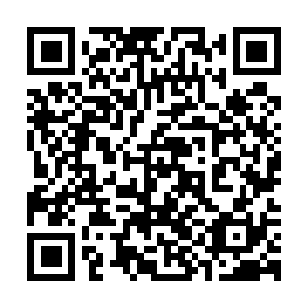 QR code for 39N 530