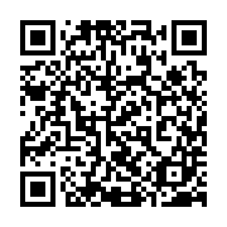 QR code for plate 39U 383