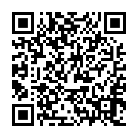 QR code for plate 39V P57