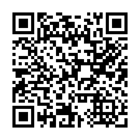QR code for plate 39X 311