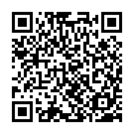 QR code for plate 39Y 195