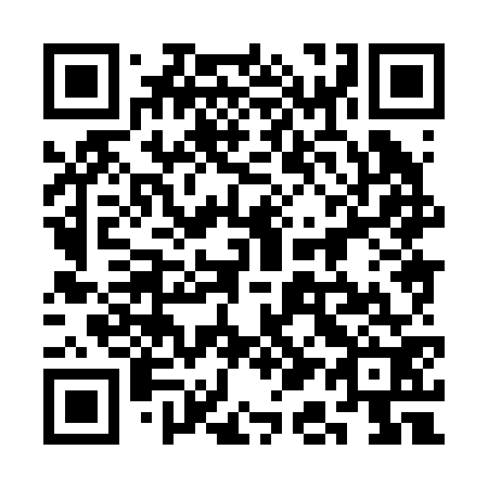 QR code for plate 3A8 272