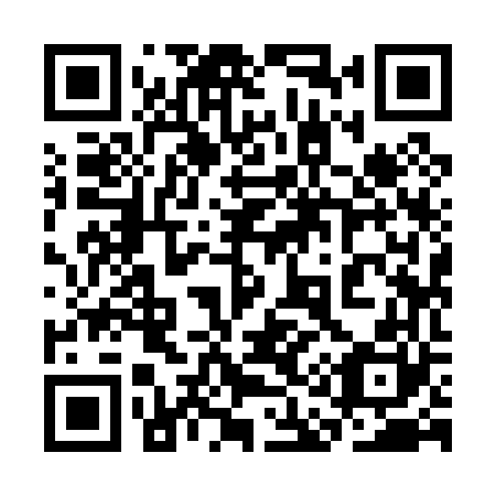 QR code for plate 3A9 060