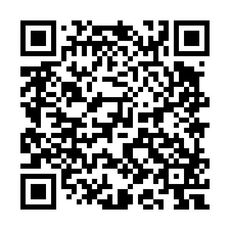 QR code for plate 3A9 483