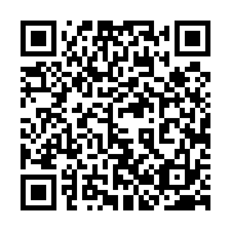 QR code for plate 3B4 533