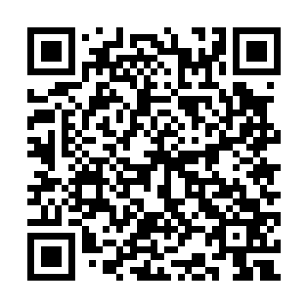 QR code for plate 3B5 063
