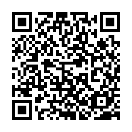 QR code for plate 3B9 305