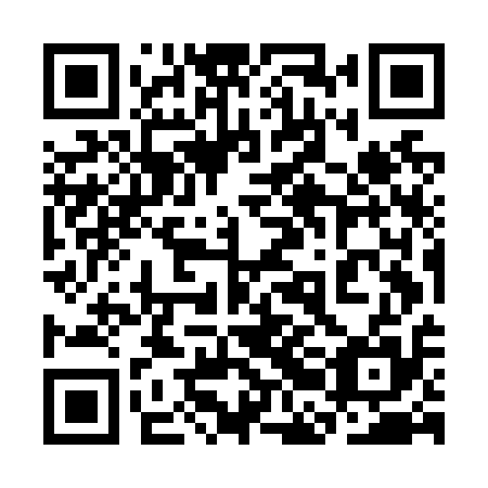 QR code for plate 3BM N15